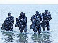 Image result for Navy SEAL Physique Buds