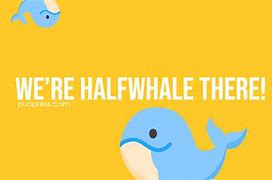 Image result for Whale Puns