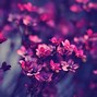 Image result for Pretty Laptop Backgrounds