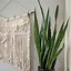 Image result for Macrame Wall Hanging Projects
