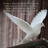 Image result for Scripture with Birds