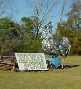Image result for Roadside Attractions