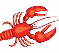 Image result for Lobster Illustration
