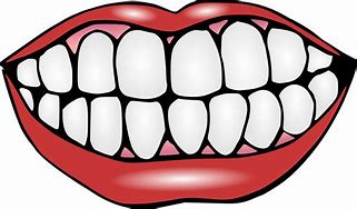 Image result for Brush Teeth Clip Art PNG