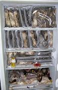 Image result for Small Display Freezer