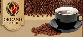 Image result for Organo Gold Reviews