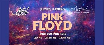 Image result for Pink Floyd Wish You Were Here Girl