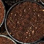 Image result for Growing Pots Containers
