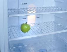 Image result for Inside Refrigerator Empty
