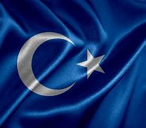 Image result for East Turkestan Flag