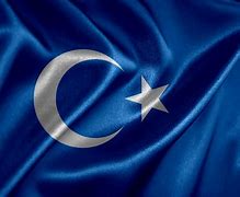 Image result for East Turkestan Flag