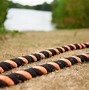 Image result for Battle Ropes Exercise Muscles Used