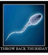 Image result for Throwback Thursday Funny Pictures