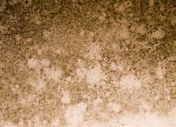 Image result for Scratched Metallic Textures