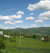 Image result for Bosnian Genocide Remembrance