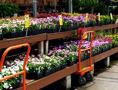 Image result for Home Depot Garden Products