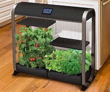 Image result for Indoor Greenhouse Kits