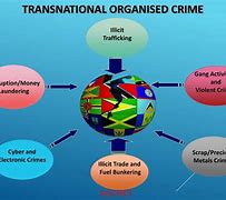 Image result for Transnational Organized Crime