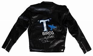 Image result for John Travolta T-Birds