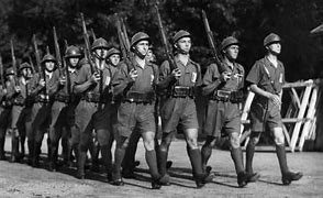 Image result for Vichy France Troops