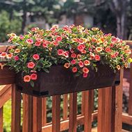 Image result for Over the Deck Railing Flower Planters