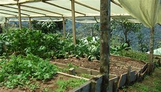 Image result for Organic Farming Pros and Cons