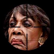 Image result for Maxine Waters Side View