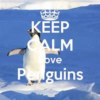 Image result for Keep Calm and Love Penguins