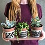 Image result for Decoration Items for Purchase