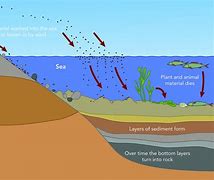 Image result for Sediment Layers Diagram