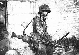 Image result for Waffen SS in Action