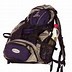 Image result for Rolling Backpacks Product