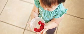Image result for Freezing Homemade Baby Food
