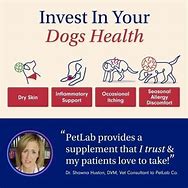 Image result for Dog Itchy Skin & Coat Chews By Petlab, Soothes Dog Itchy Skin, Ears & Bum