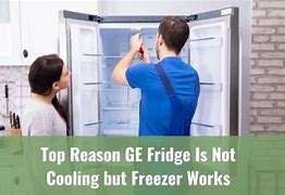 Image result for Freezer Not Cooling Fridge Working