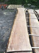 Image result for Live Edge Wood Slabs
