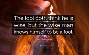 Image result for Wise Fool