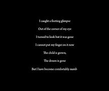 Image result for Comfortably Numb Song