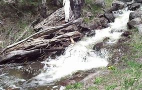 Image result for Grand Mesa Streams