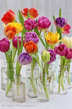 ...OF SPRING AND SUMMER...: Flowers from the Flower Market - # 2 - Mixed Tulips