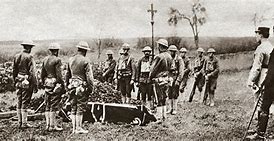 Image result for World War 1 Casualties