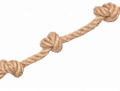 Image result for Rope Swing PNG