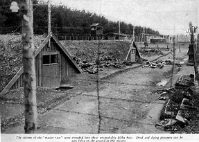 Image result for Landsberg Germany Camp