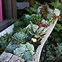 Image result for Yard Planters