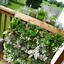Image result for Garden Planters From Pallets