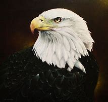 Image result for Eagle Paintings Large