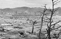 Image result for Flash Hiroshima