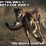 Image result for Cheetah Jokes
