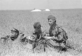 Image result for Soviet Paratroopers WW2