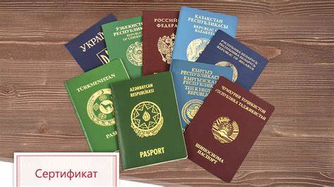 Как эффективно осуществлять миграционный учет иностранных граждан в Санкт-Петербурге: пошаговая инструкция